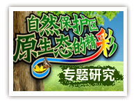 自然保护区：原生态的精彩