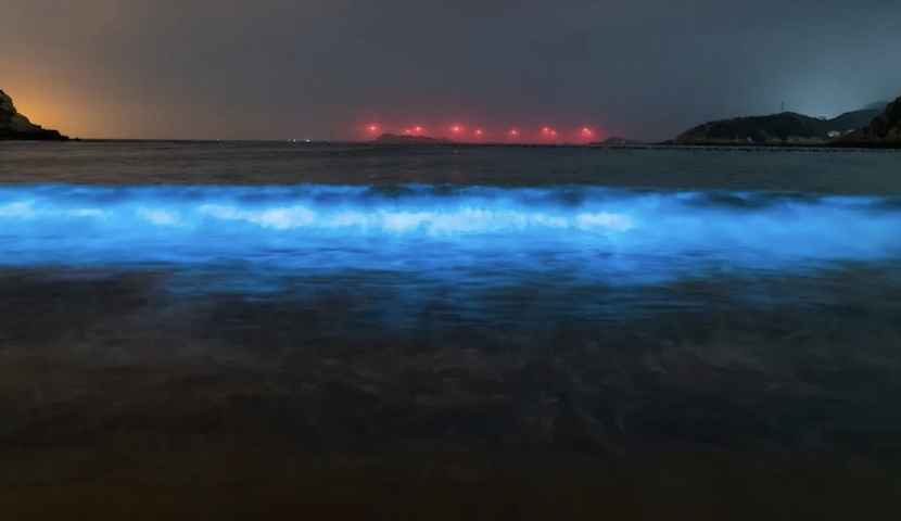 逐梦山海，共赴未来，绘就“清新福建”美丽画卷