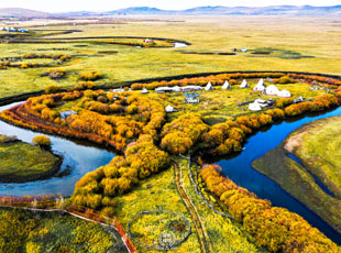 内蒙古呼伦贝尔大草原-莫尔格勒河景区（托管运营，5A创建）